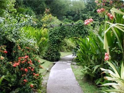 Botanical Garden at St. Lucia