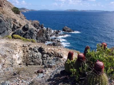 Ram Head at St. John, USVI